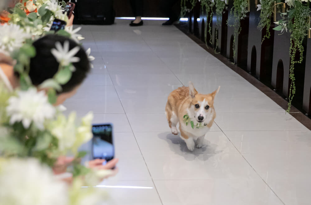 アーリー迎賓館チャペルで挙げられたお客様の結婚式写真06