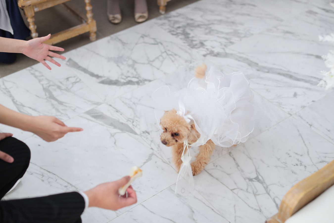 小さな結婚式 大阪ハービスENTチャペルで挙げられたお客様の結婚式写真