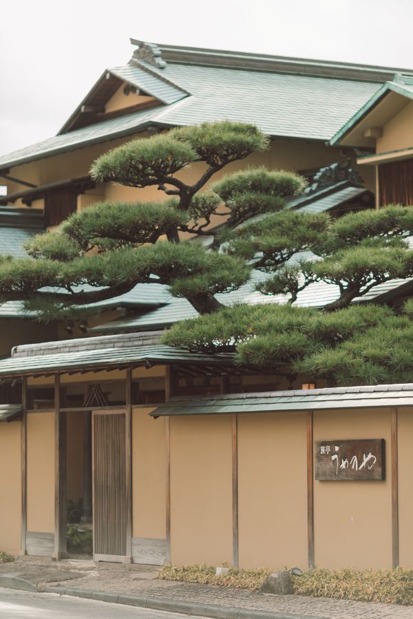 道後うめ乃やでご結婚式を挙げられたお客様の写真　お食事は道後うめ乃やにて
