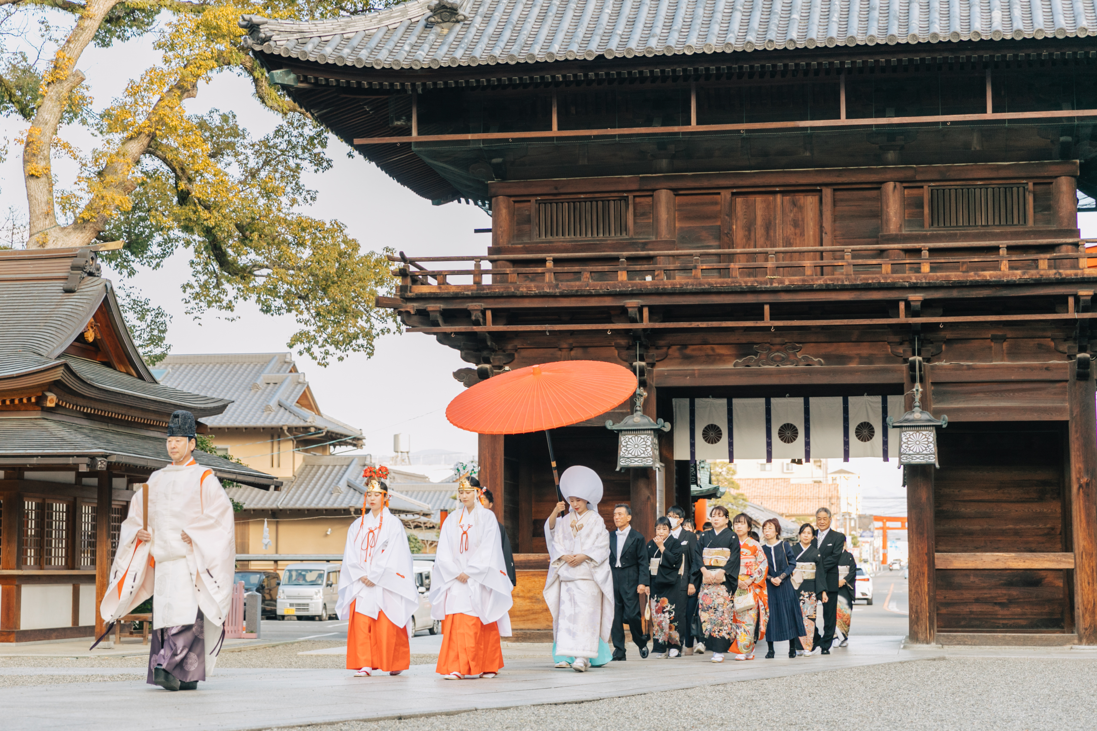 伊豫豆比古命神社 椿祷殿（椿神社）で挙げられたお客様の結婚式　秋の夕方柔らかい日差しの中参進で神殿へ進む紋付袴白無垢姿の新郎新婦様