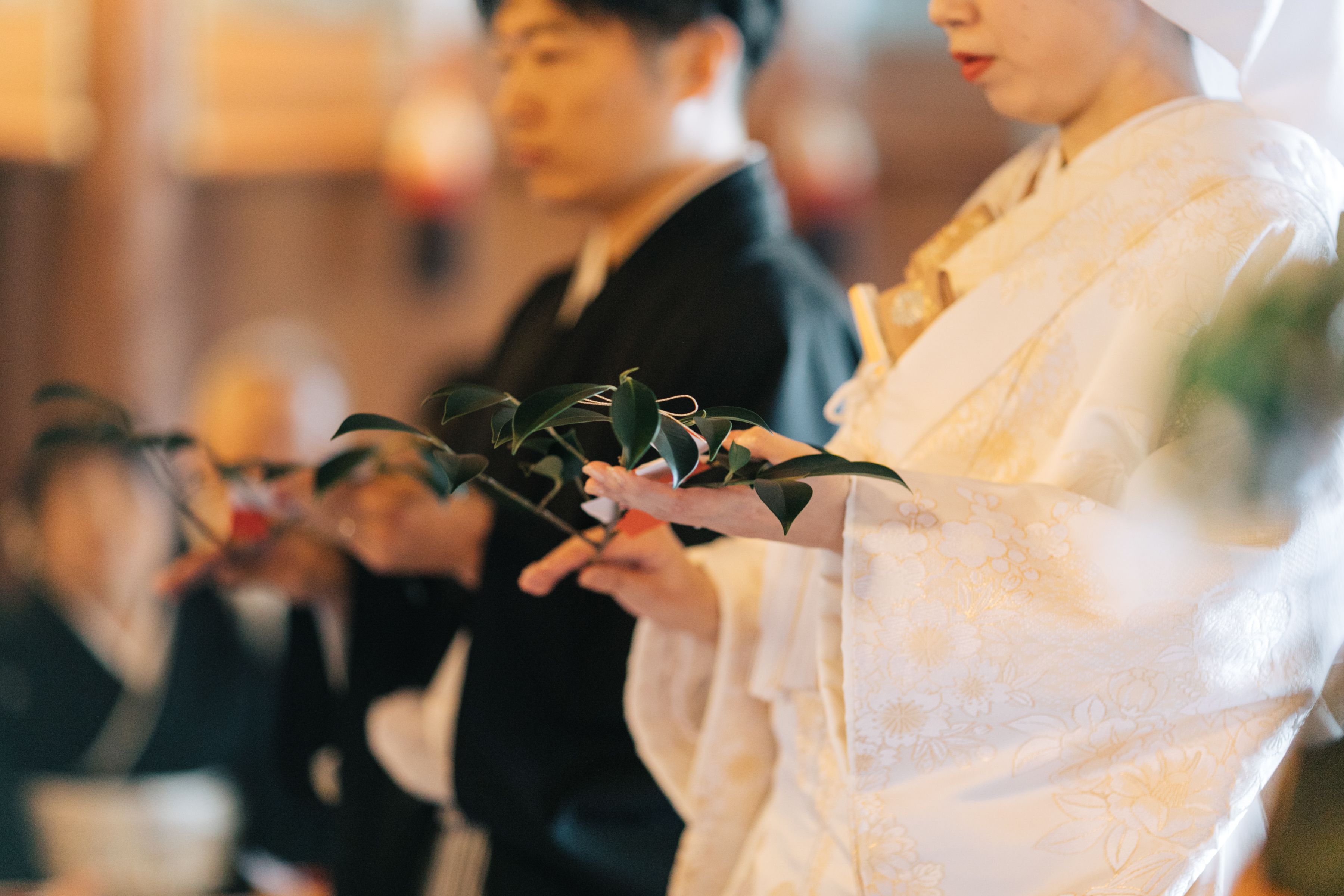伊豫豆比古命神社 椿祷殿（椿神社）で挙げられたお客様の結婚式　神前式で玉串奉奠をする紋付袴白無垢姿の新郎新婦様の手元