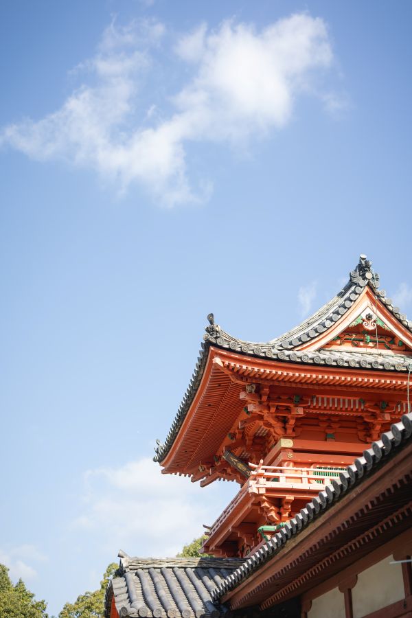 伊佐爾波神社で挙げられたお客様の結婚式写真　秋晴れの空と朱色の神社が映えます