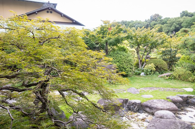 道後うめ乃や　会場に併設するお庭　9月のお庭は青々とした緑でおおわれています