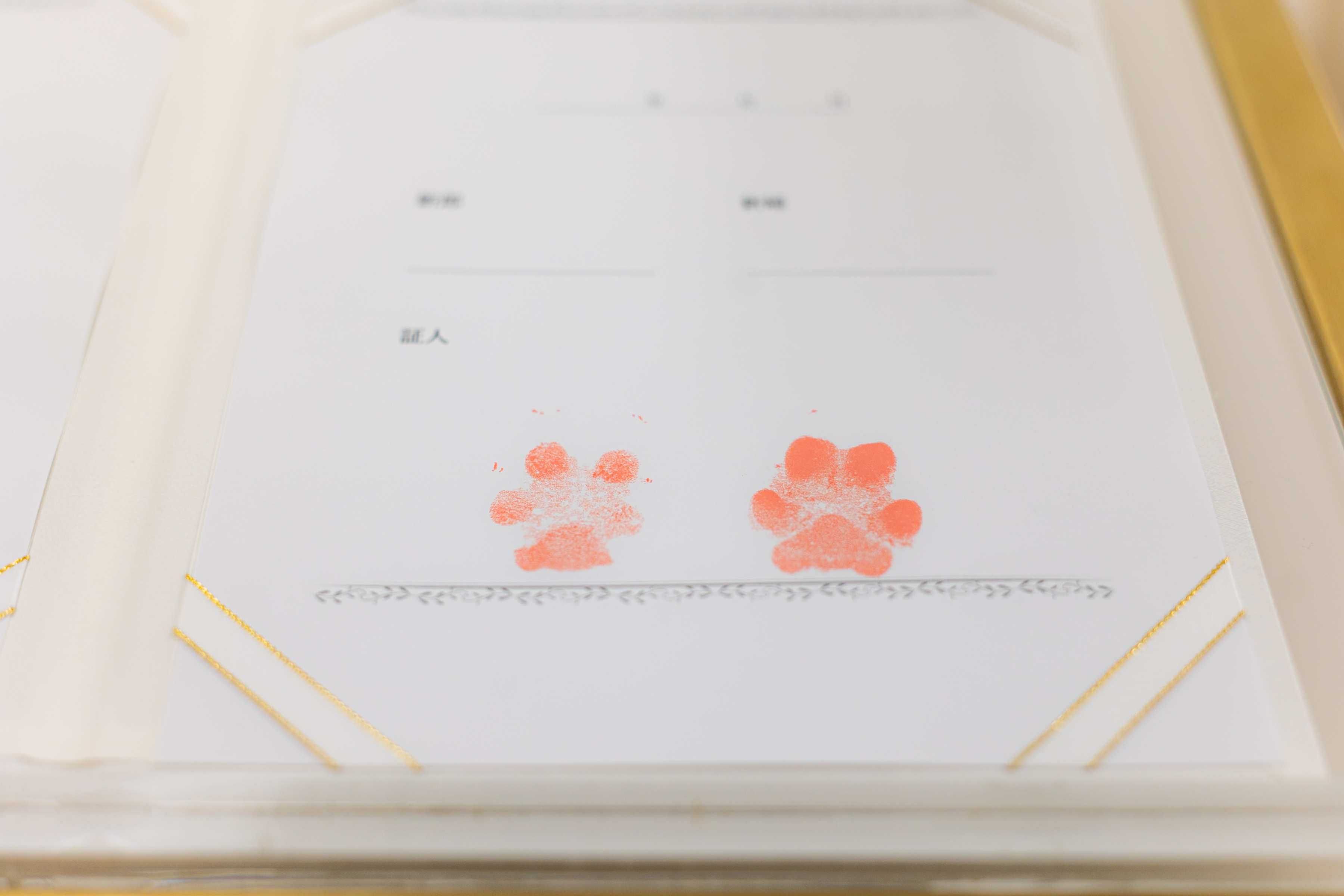 小さな結婚式 金沢チャペルで挙げられたお客様の結婚式写真12