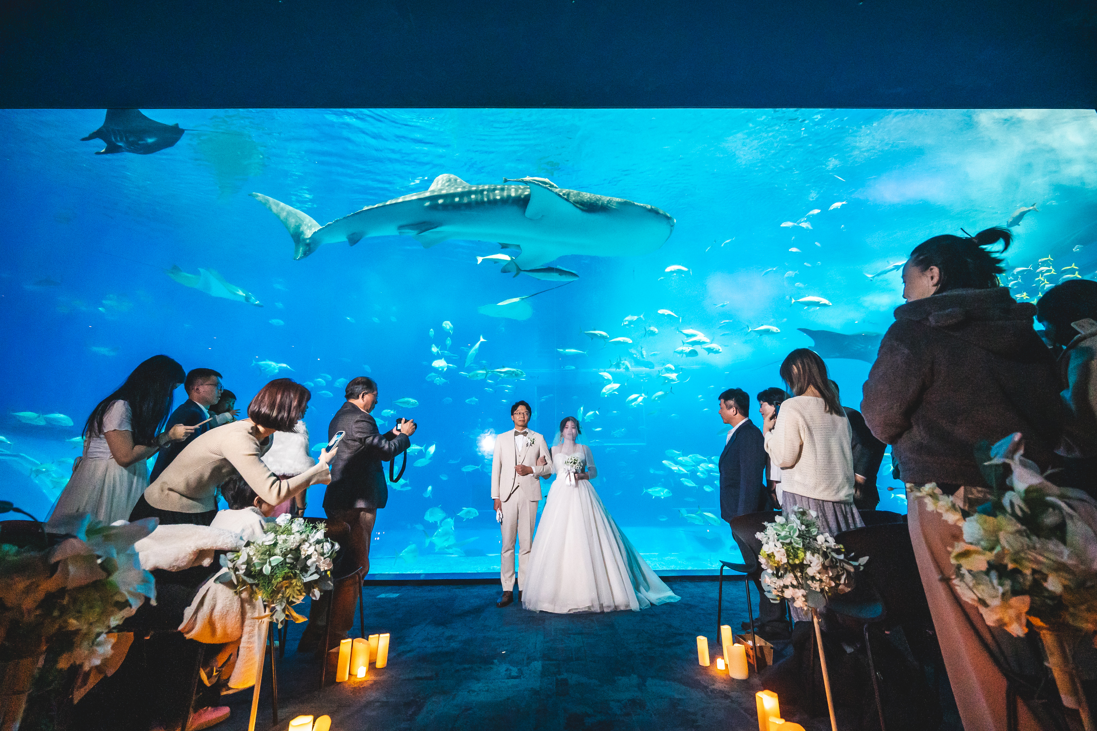 美ら海水族館　挙式風景