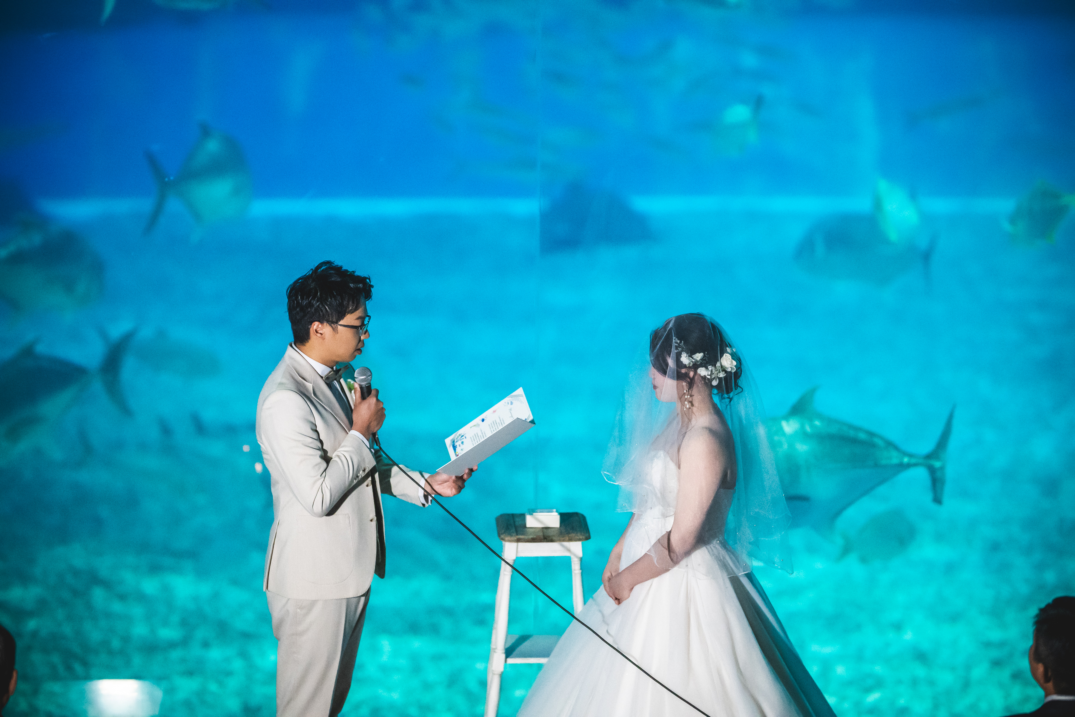 美ら海水族館　挙式　誓いの詞