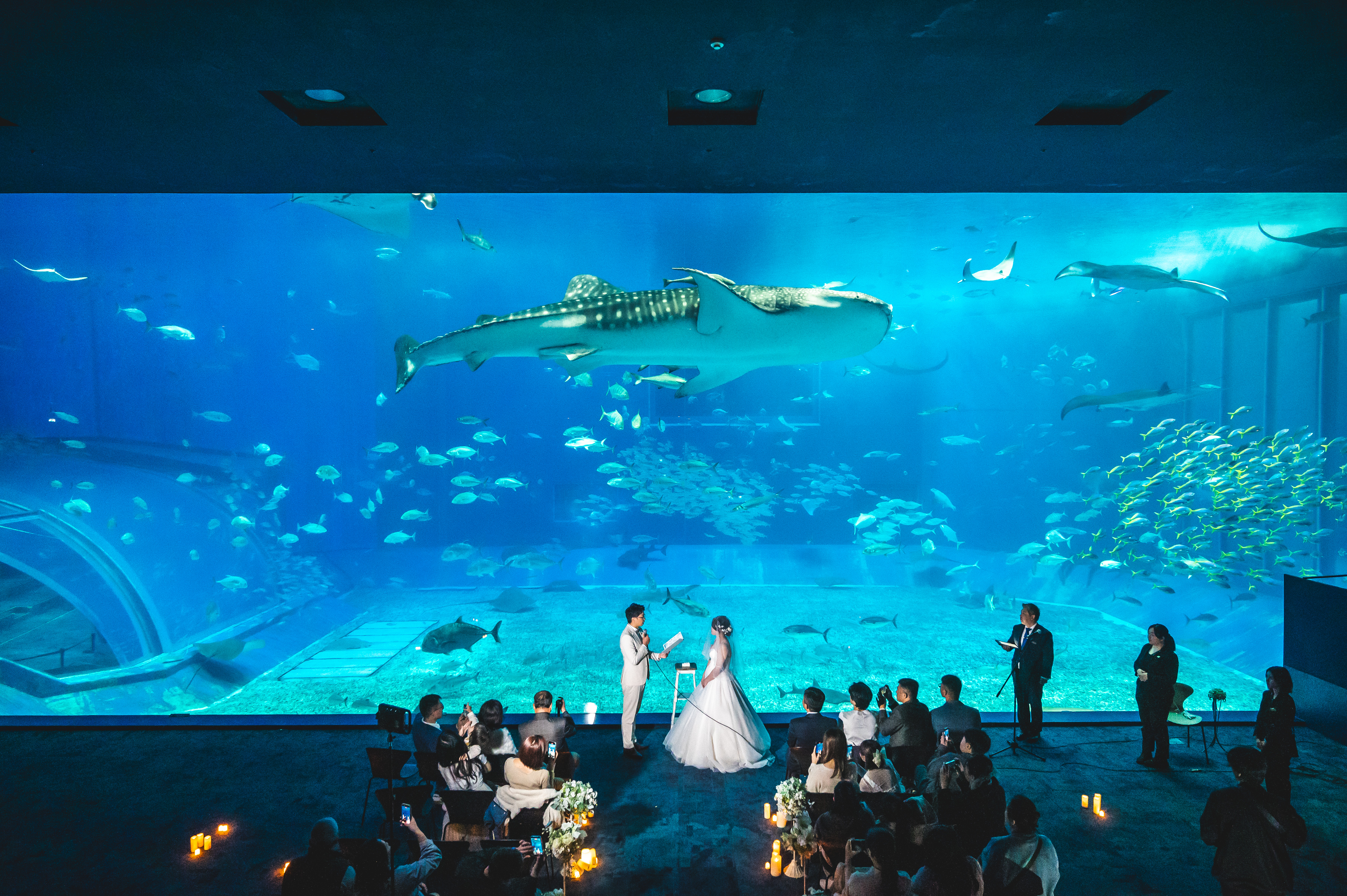 美ら海水族館　挙式風景
