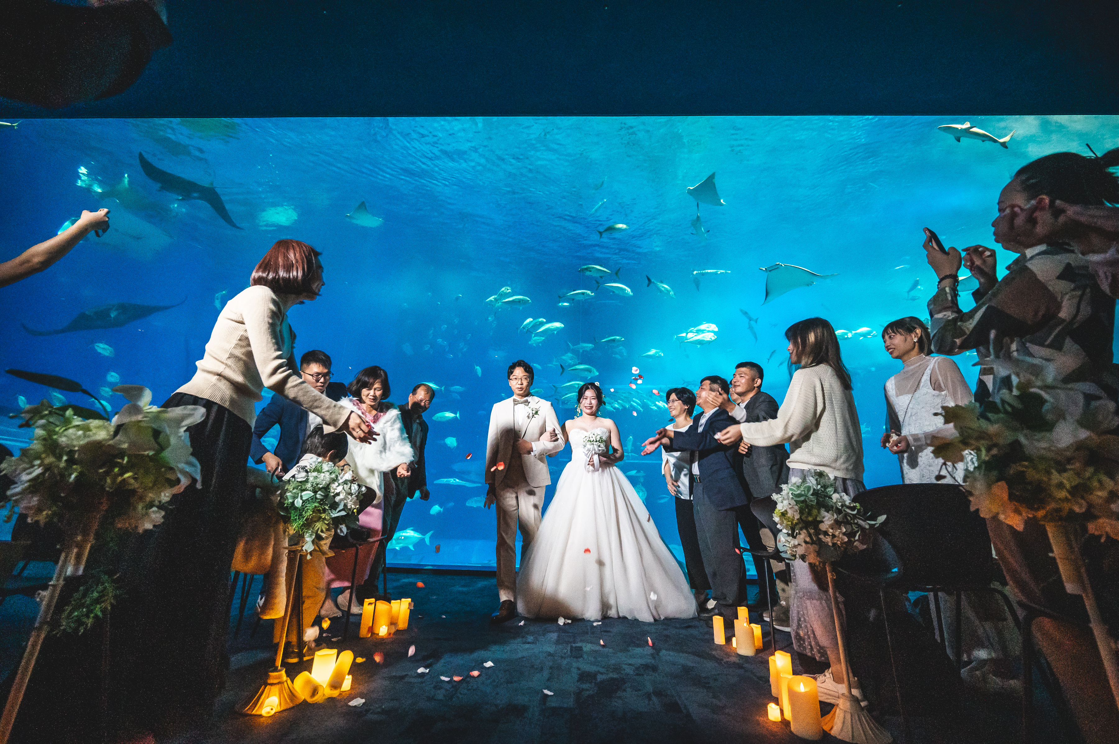 美ら海水族館　退場シーン