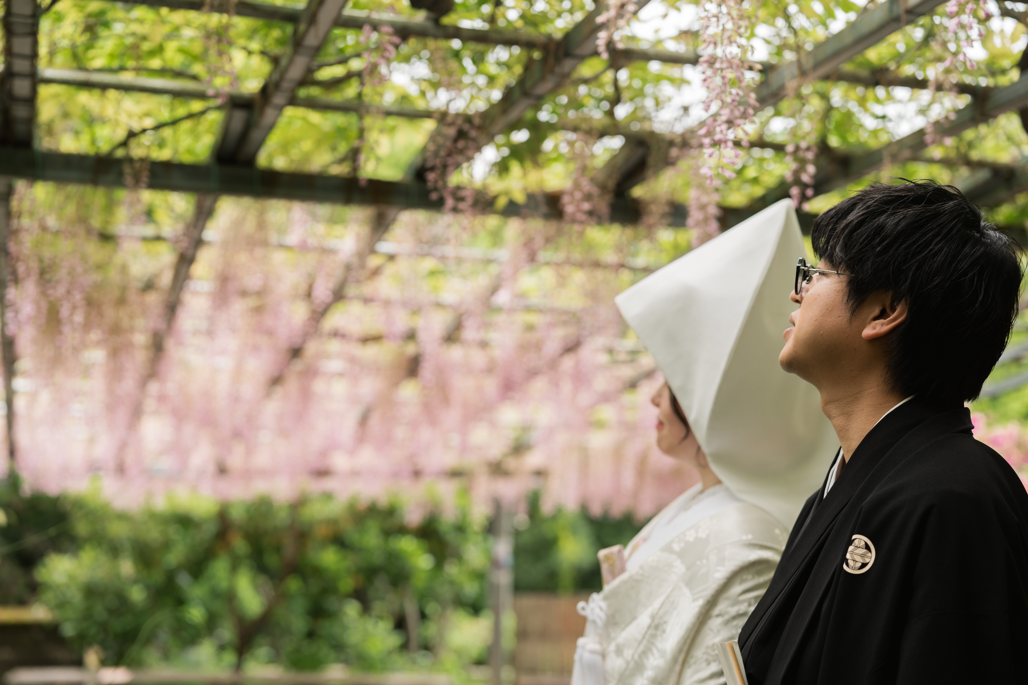 藤の花の下で撮影