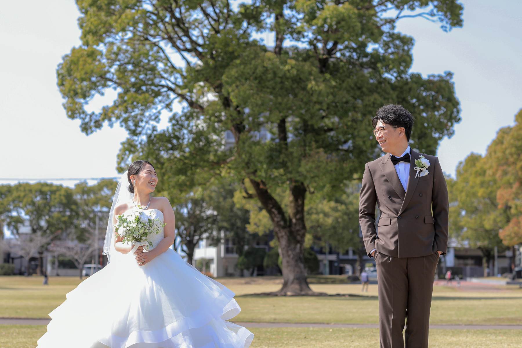 木々を解放感のある写真