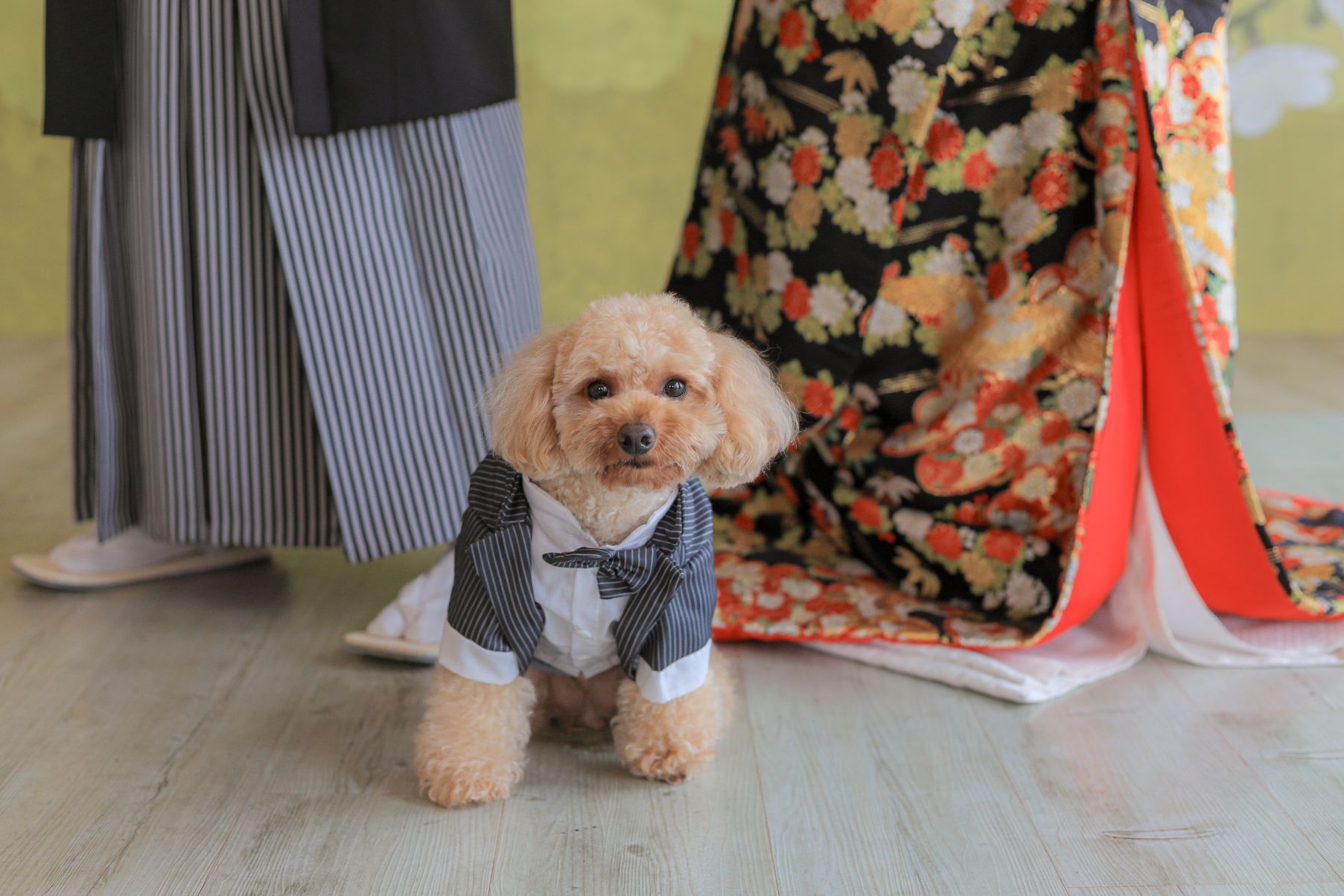 足元に愛犬参加