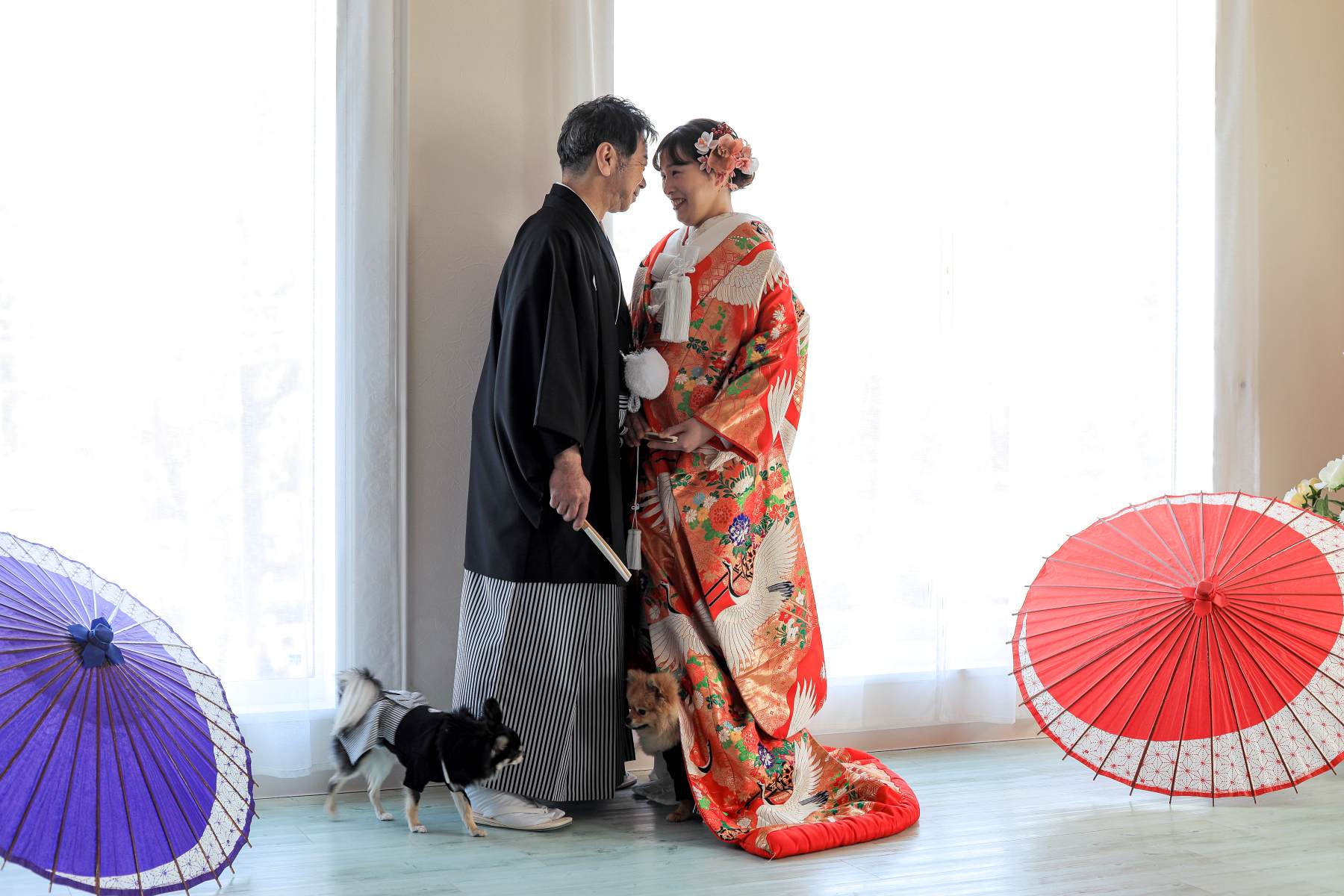 見つめ合うショットに遊びに来たワンちゃん達