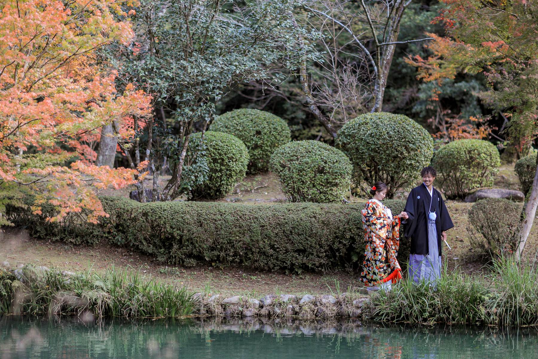 庭園のような四季を感じる写真