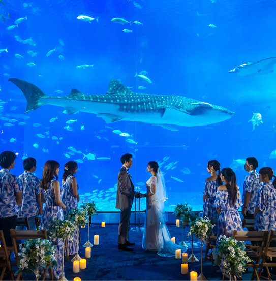 沖縄美ら海ウェディング