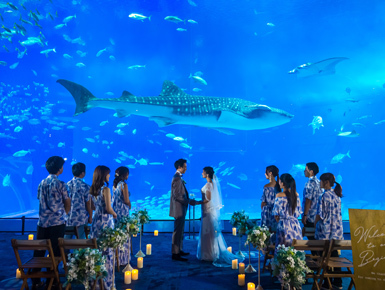 沖縄美ら海ウェディング