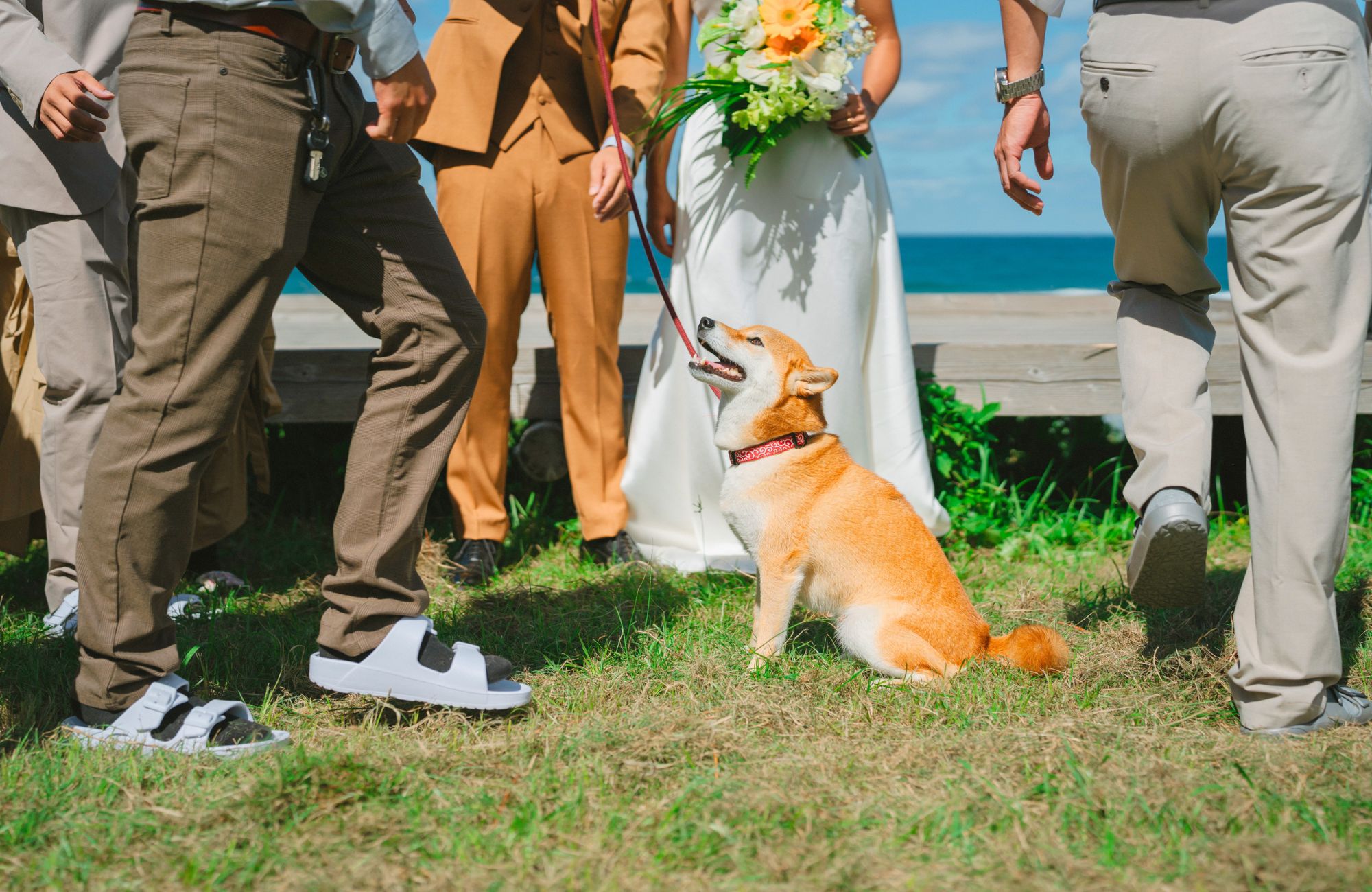 AL MARE WEDDING