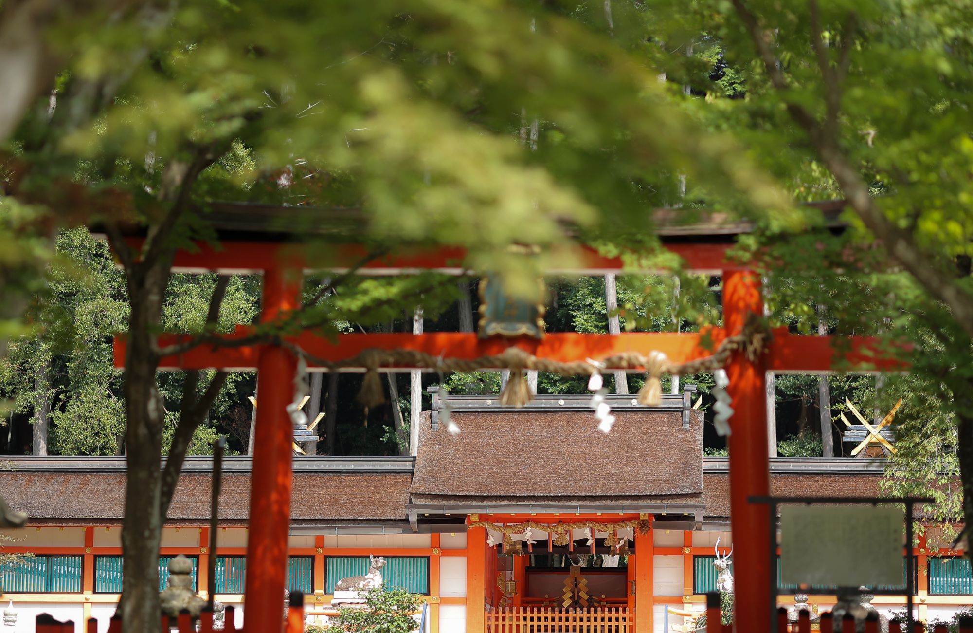 大原野神社