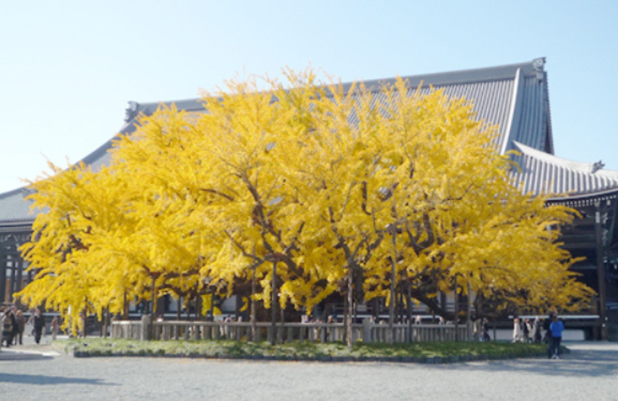 西本願寺（龍谷山 本願寺）