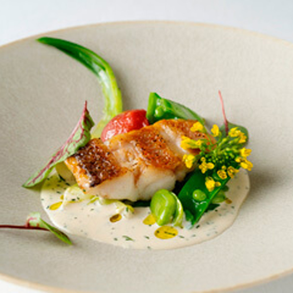 レストランひらまつ 博多のお料理について