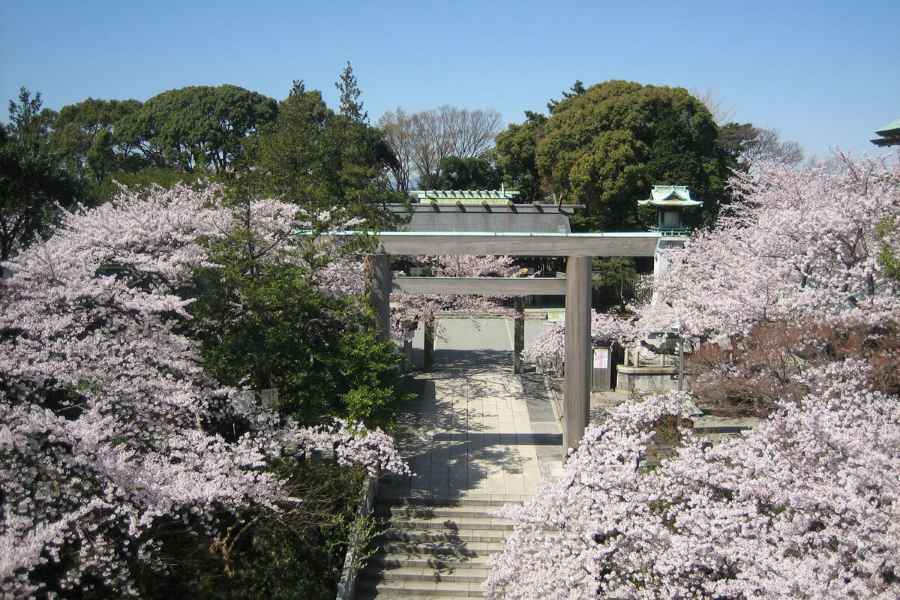 【150年の歴史を持つ本格神前式が叶う格式ある神社】伊勢神宮から譲渡された由緒正しい本殿で、日本古来の儀式に沿った本格神前式が挙げられます。 巫女舞や参進の儀など、伝統儀式が丁寧に進行され、厳かな雰囲気の中で夫婦の契りを結べるのが魅力です。
