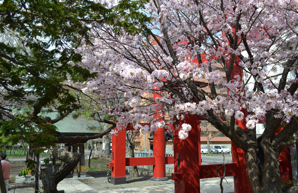 彌彦神社