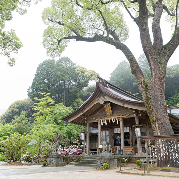 宝満宮 竈門神社