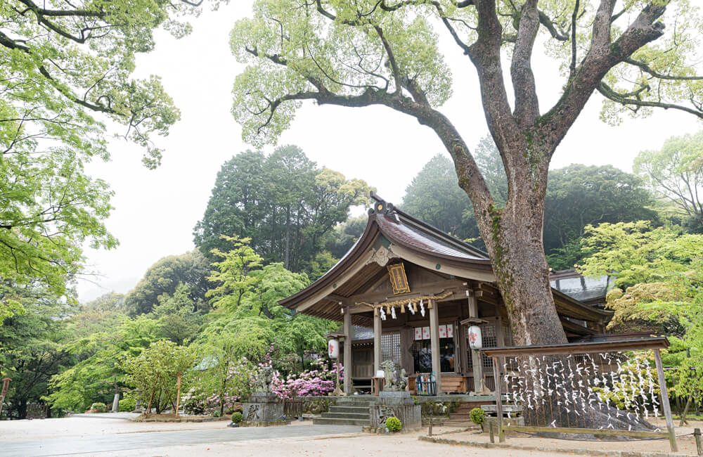 宝満宮 竈門神社