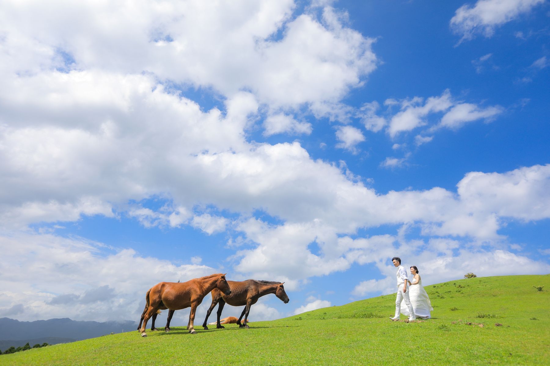 スタジオとロケーションのどちらが良いか迷っている方も大歓迎♡ロケ地・衣装・撮影まで トータルで相談可能！天候に左右されないスタジオ撮影や、海や公園、 季節ごとに変わるロケーション撮影では、開放感あふれる空気の中で自然体のおふたりを撮影できます♪ 「どんな場所が自分たちに合うかわからない」という方にも、 最適なスポットをご紹介します！