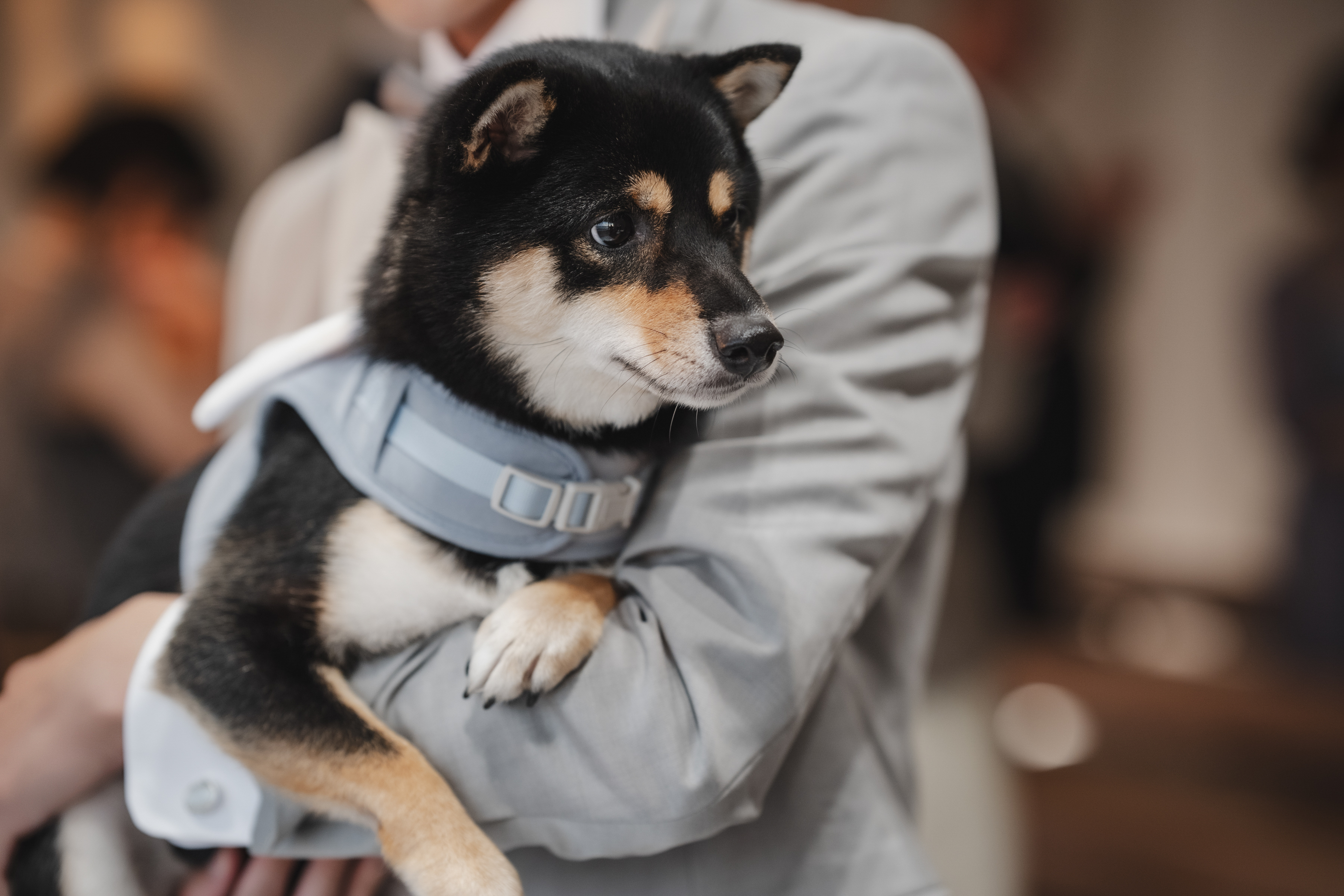 大事なペットと一緒に挙げれる式場！