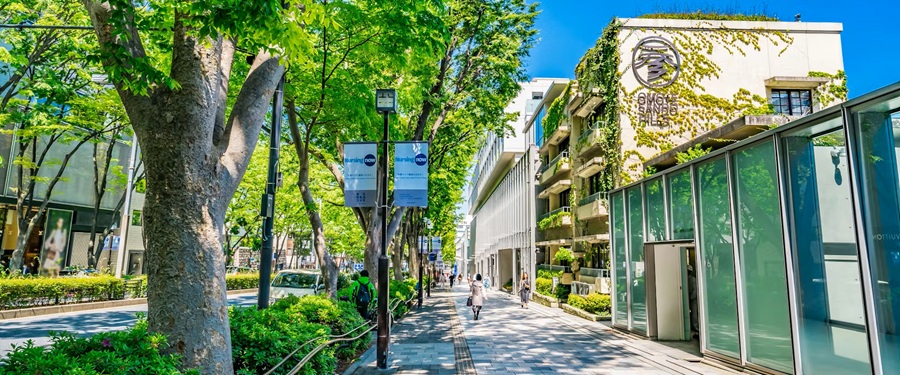 表参道駅から徒歩1分とアクセス抜群！高級ブランド店が建ち並ぶ大人な街。カフェや雑貨屋など多く集まったおしゃれな街。そんな表参道で小さな結婚式が叶います。