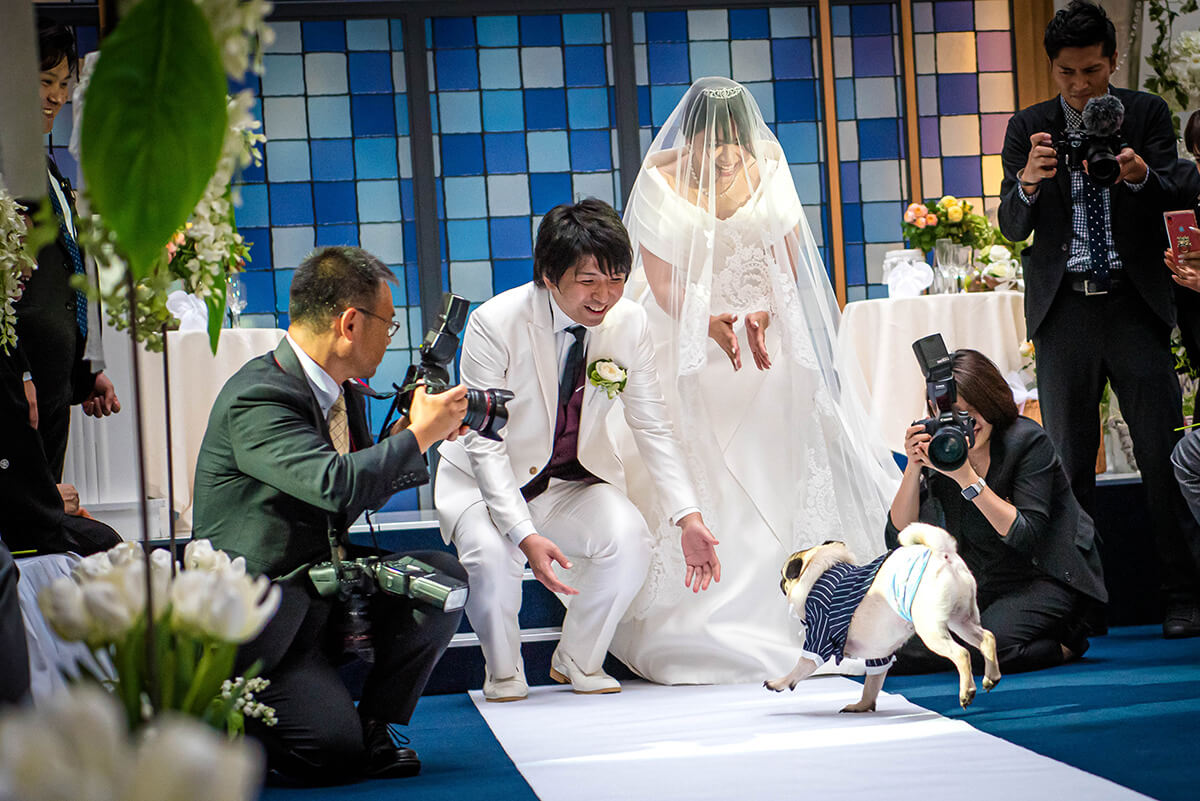 ペットと結婚式