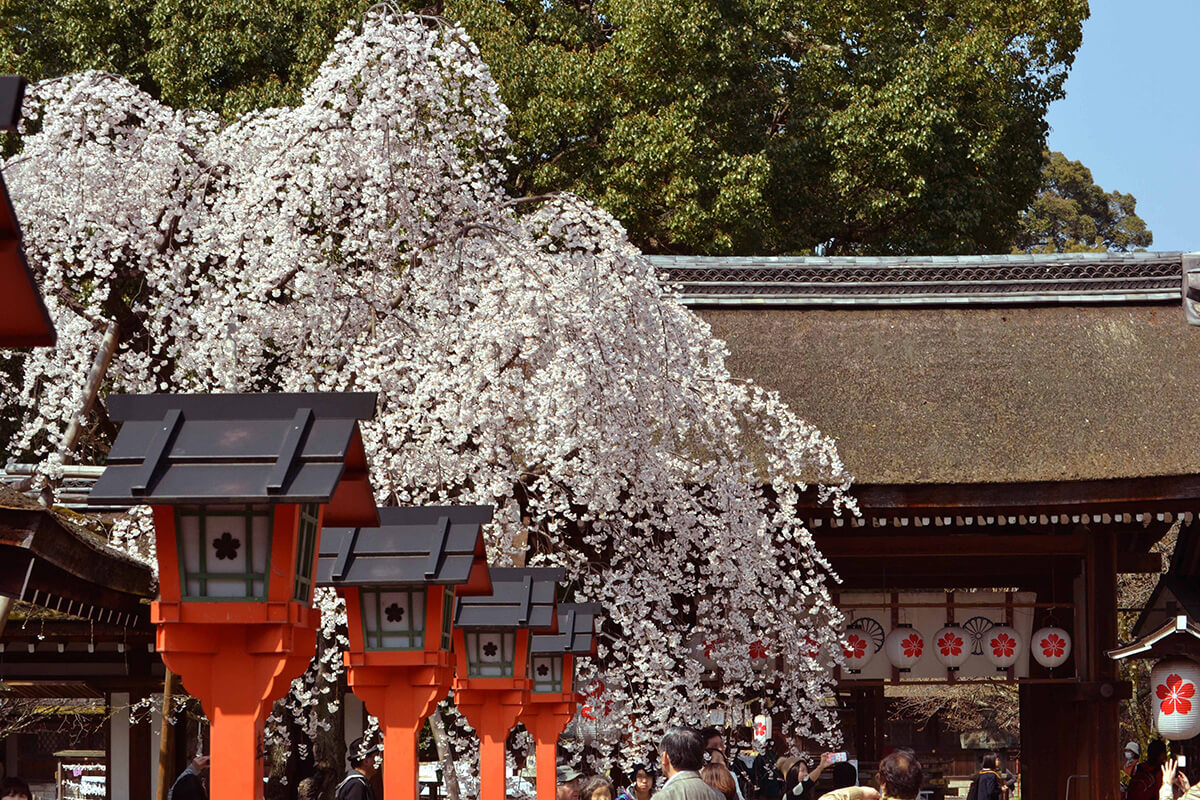 平野神社