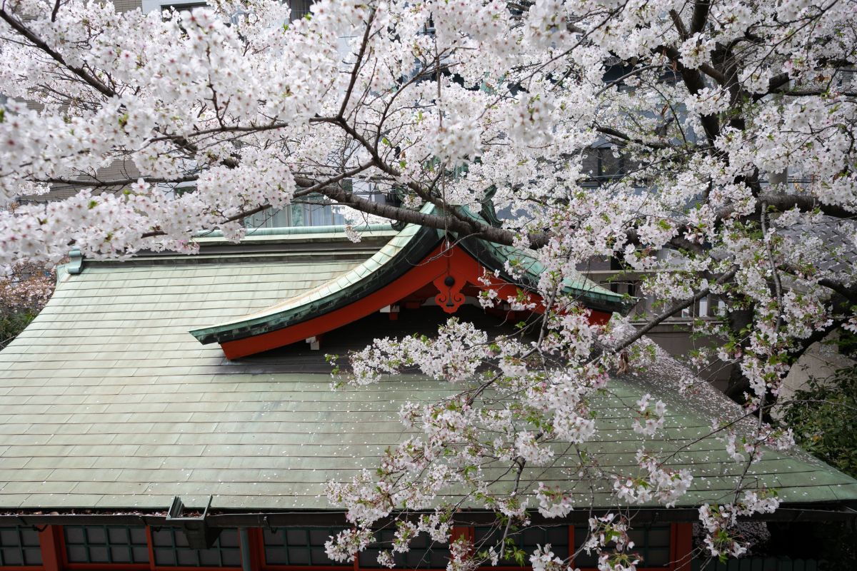 難波神社(なんばじんじゃ)