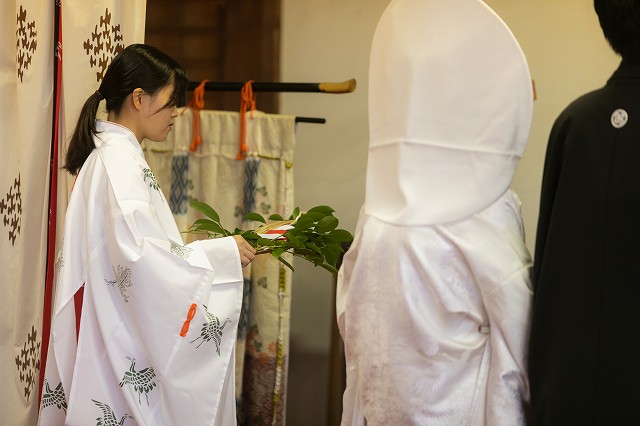 愛媛縣護國神社　挙式