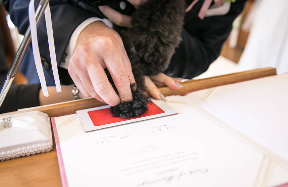 軽井沢 アンジェロ教会