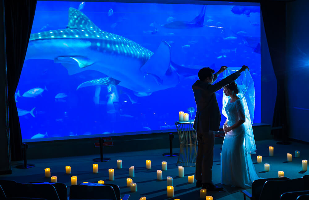 沖縄美ら海ウェディング