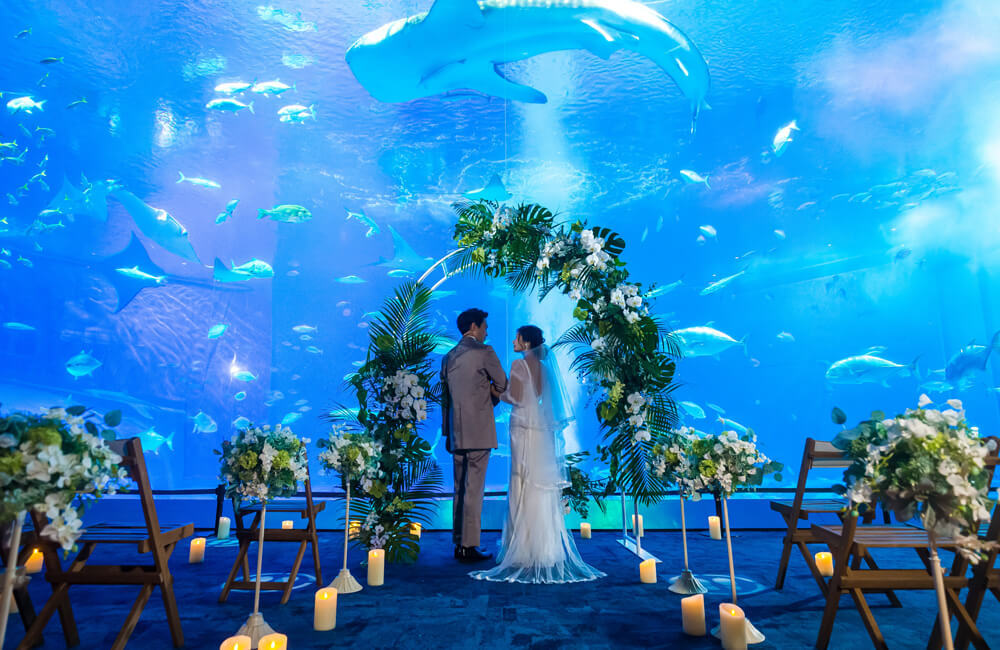 沖縄美ら海ウェディング