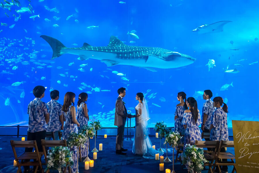 少人数挙式プラン