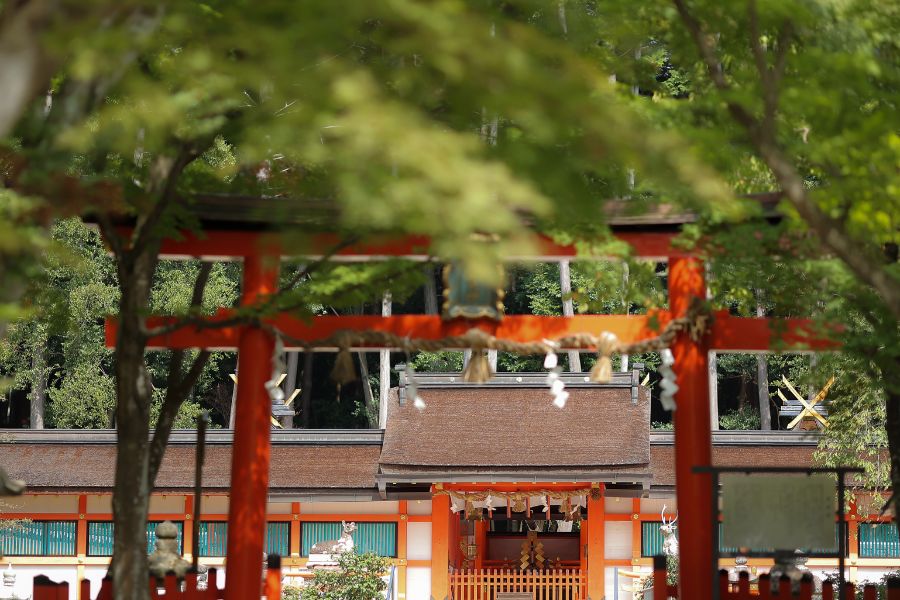 少人数（10名様まで）挙式プラン