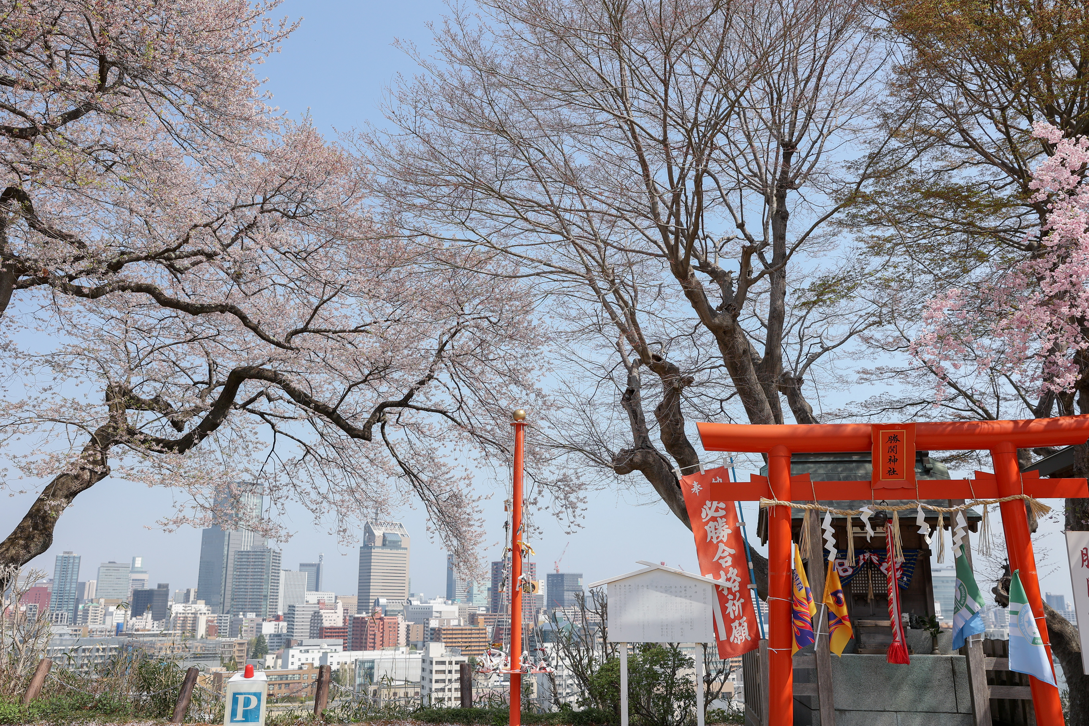 挙式プラン　7月以降ご希望の方向け