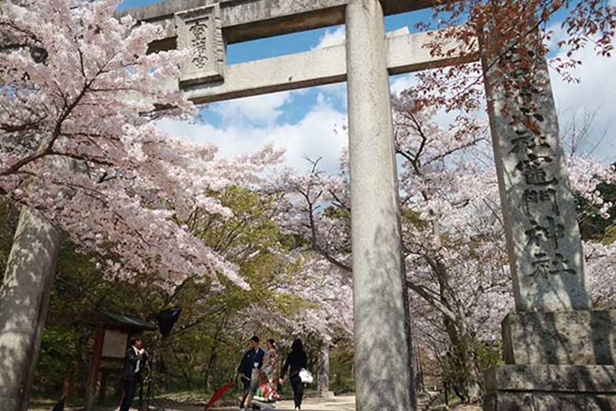 【2026年5月末までの挙式応援PLAN】 竈門神社