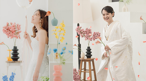 和洋各1点スタンダードプラン