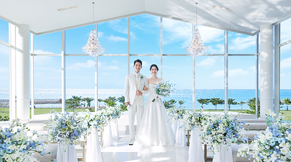 洋装ライトプラン