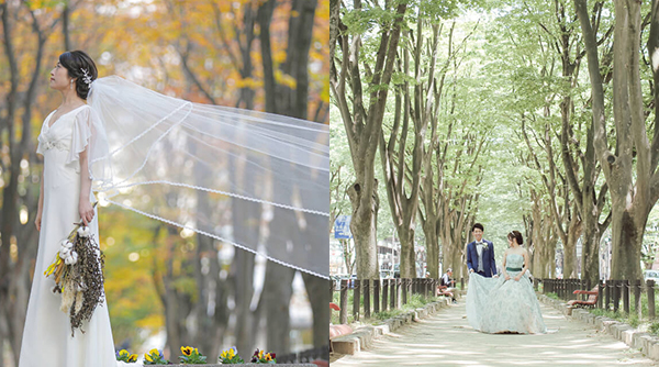 定禅寺通り、西公園