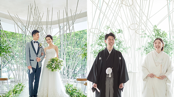 和洋各1点スタンダードプラン