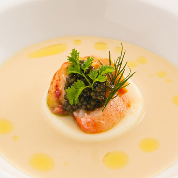 ランス・ヤナギダテのお料理について