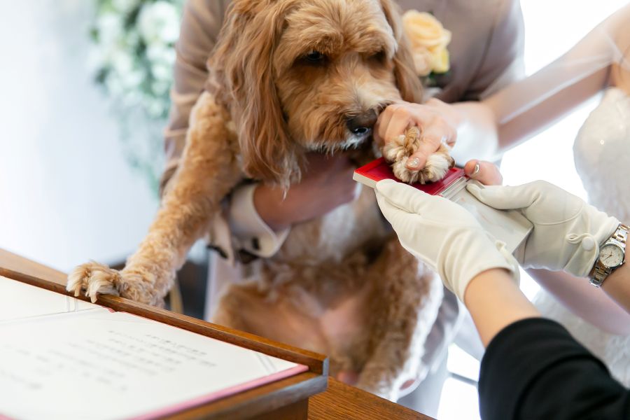 【ペット参加OK】小樽でペットと結婚式ができる式場はここだけ！大切な家族の一員も証人として参加頂くのはいかがですか。