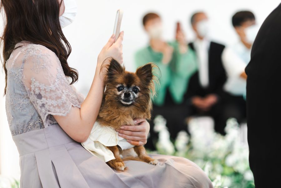 【大切な家族、ペットも参加OK】ペット参加OKの珍しいチャペルで、犬・猫はもちろん、うさぎやフェレットなどこれまで多くの家族同然のペットが挙式に参加しています。