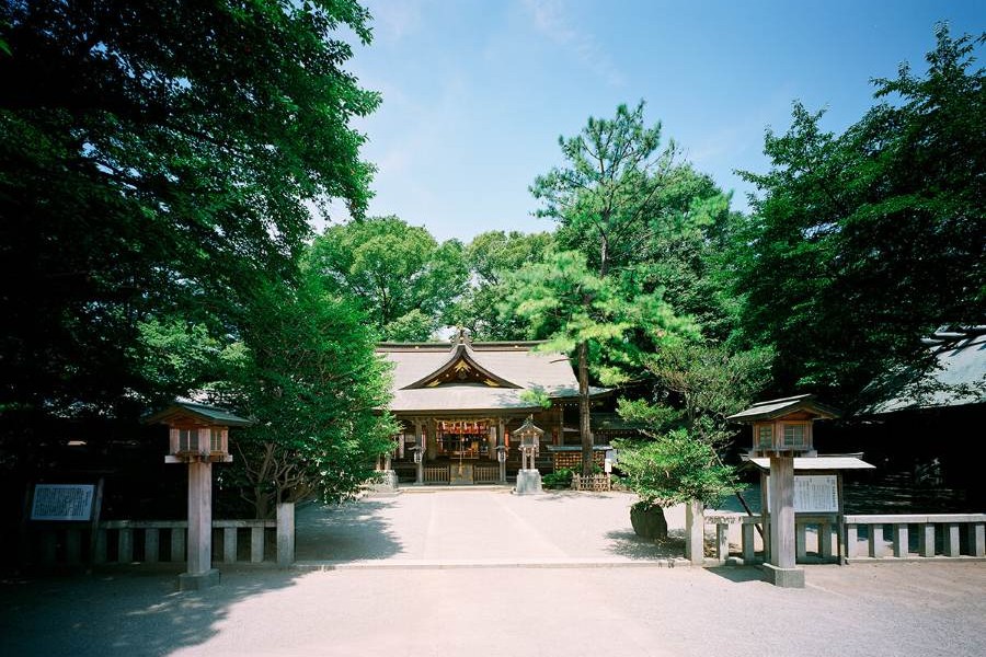 【緑豊かな静寂の杜に包まれた“落ち着いた雰囲気の和婚”】鳥居、社殿、木々に囲まれた落ち着いた境内は、昔ながらの神社らしい静けさと厳粛さが魅力。 派手さよりも家族中心でしっかり誓いを立てたい少人数婚にぴったりの環境です。 和装の映える背景が多く、写真にも美しく残せます。
