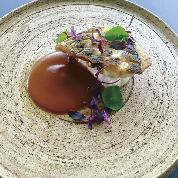 シェ・ヨシ（しあわせ創庫）のお料理について